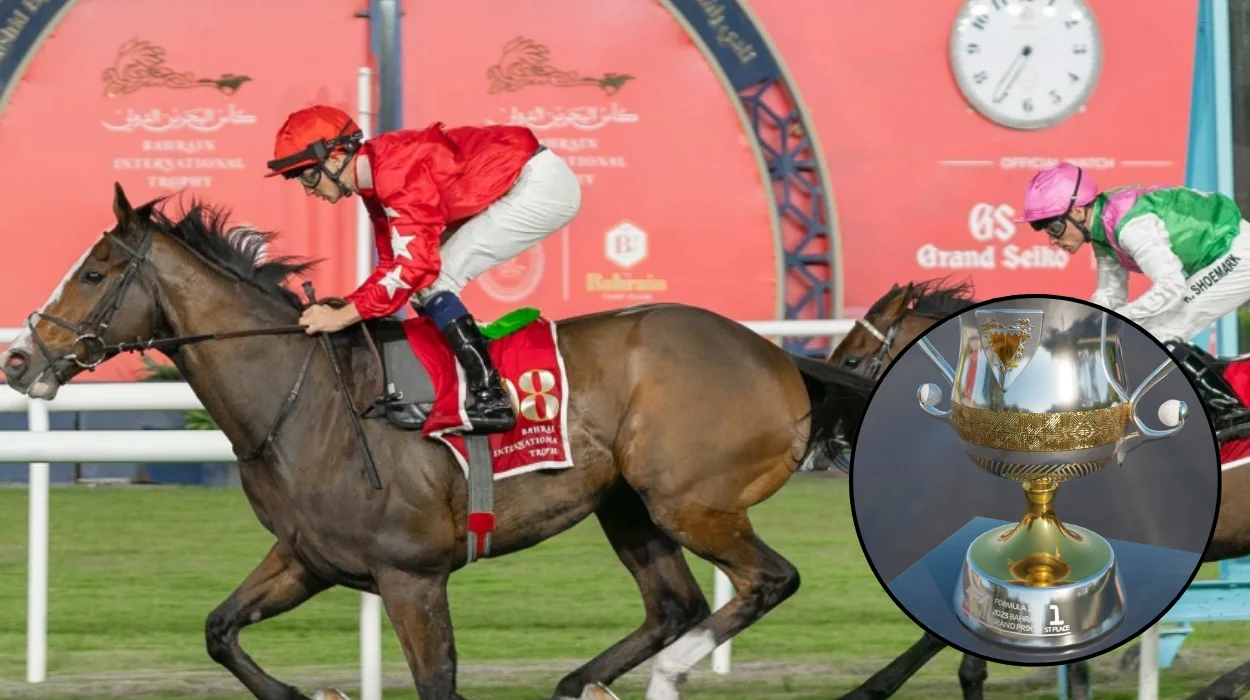 Point Of Law Eyes St Leger After Bahrain Trophy Win