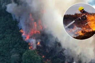 UK Wildfires Rage as Fire Chiefs Warn of Extreme Pressure